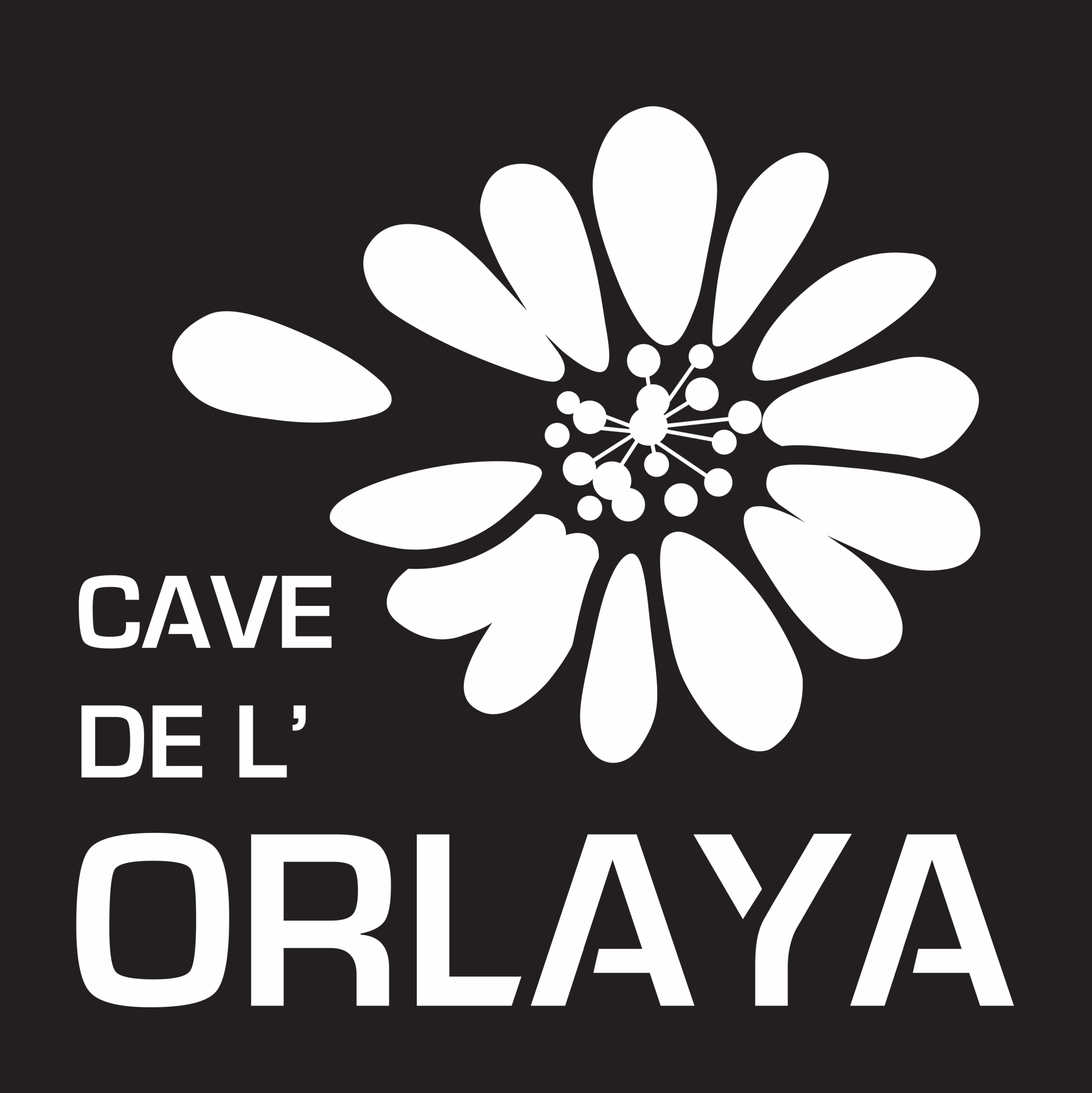Cave de l’Orlaya